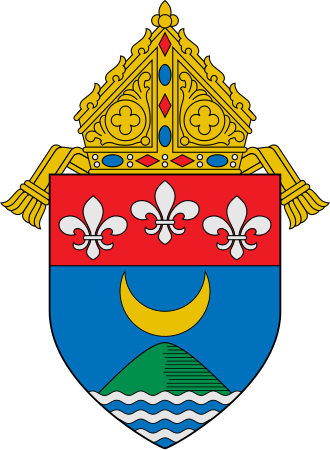 ROCADINAV
